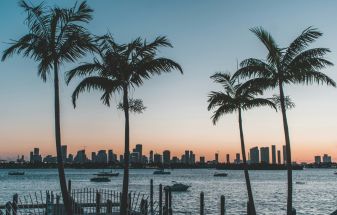 Art Basel Miami Beach 2024 Set to Showcase 283 Galleries Under New Leadership 