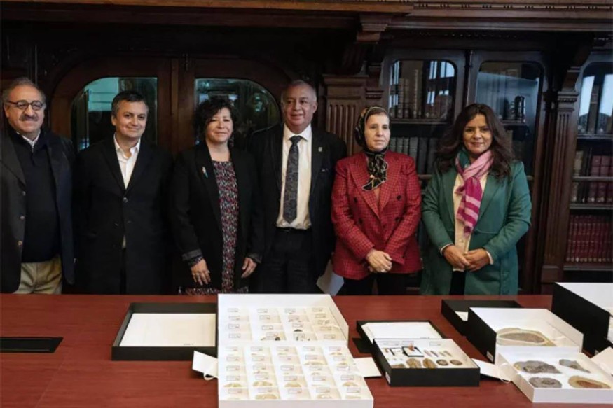 Chile Authorities Returns 117 Fossils to Morocco in Joint Effort Against Illicit Trafficking