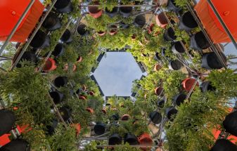 Harvard GSD Inaugurates Polinature, a Plug-In Public Space to Transform Urban Climates