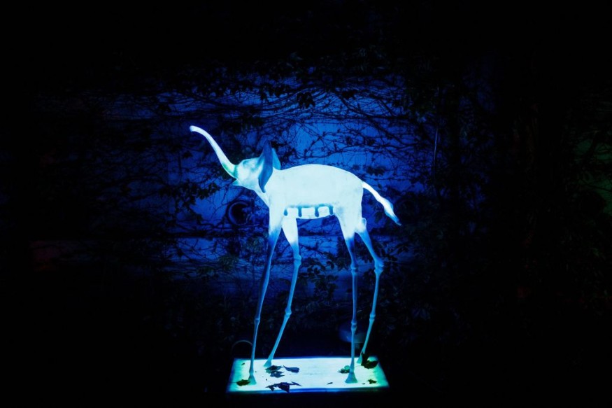 Salvador Dali Event Alert! France's Art In Nature Features Surrealism in Illuminated Sculptures