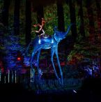 Salvador Dali Event Alert! France's Art In Nature Features Surrealism in Illuminated Sculptures