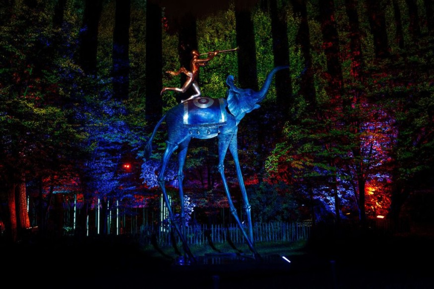 Salvador Dali Event Alert! France's Art In Nature Features Surrealism in Illuminated Sculptures