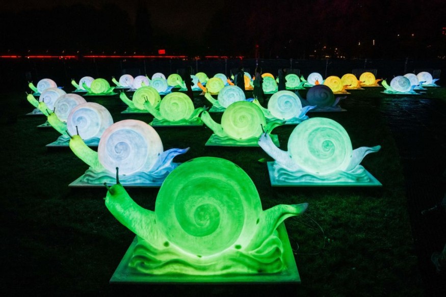 Salvador Dali Event Alert! France's Art In Nature Features Surrealism in Illuminated Sculptures