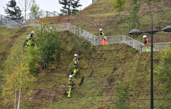 Top Landscape Architecture Firms Pledge to Zero Emissions by 2040—How Will They Do It?