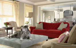 Bridge Street Residence Living Room