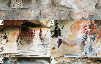 A possible later stone age painting of a dicynodont (Synapsida) from the South African Karoo